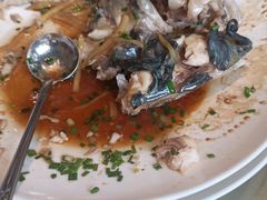 -生态苑农庄(十里画廊遇龙河店)