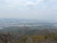 -紫金山山顶公园