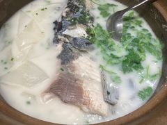 -海江5号