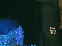 -交通银行前滩31演艺中心