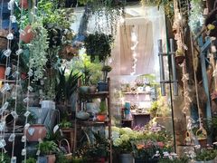 -循礼门鲜花花市(武汉循礼门店)