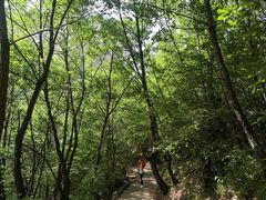 -山西壶关太行山大峡谷旅游景区