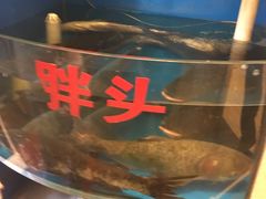 -源东食府(鹿海园小区店)