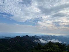-石牌岭小亮蒸虾•湖北老字号(左岭店)