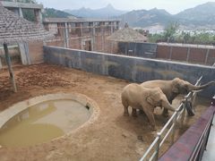 -西霞口神雕山野生动物世界