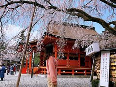 -富士山本宫浅间大社