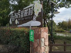 -田园东方蜜桃村的田野营地