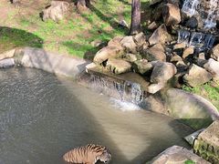 -横道河子东北虎林园