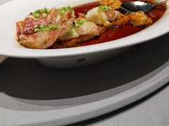 清蒸东星斑-怡情荟•海鲜青岛菜(五四广场旗舰店)