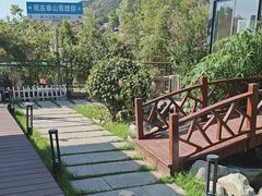 -蘇河湾·新鲁菜·泰山宴(泰山店)