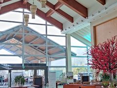 -雅安楠水阁温泉酒店