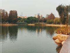 -四海公园(南山区)