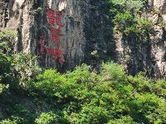 -北京龙庆四季香农家饭庄·灶台鱼·碳烤虹鳟鱼(龙庆峡店)