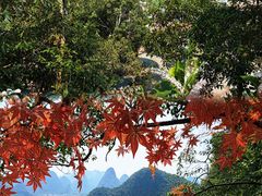 -荔江湾景区
