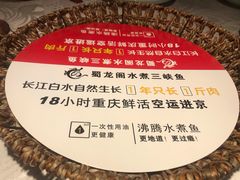 -雲蜀龙阁·金牌水煮鱼(方庄店)