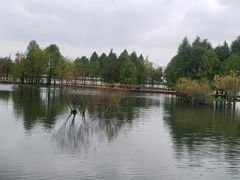 -贡湖湾湿地公园