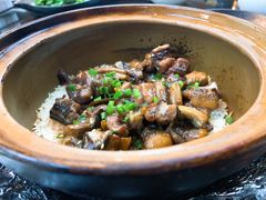-红星光发煲仔饭(文海店)