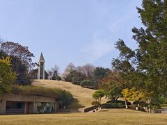 -成都保利公园皇冠假日酒店(熊猫基地店)