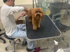 -Pets First伊珊娜洗护·精致美容·家庭式寄养(新会路店)