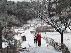 -北京西山国家森林公园