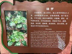 -赤水丹霞旅游区·佛光岩