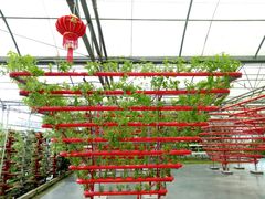 -广东茂名森林公园