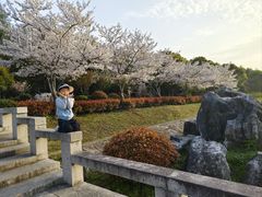 -阳澄湖半岛旅游度假区