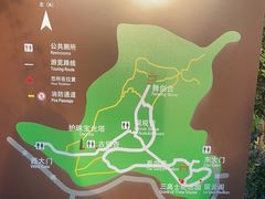 -上海佘山国家森林公园天马山园