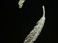 -上海当代艺术博物馆