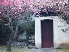 -苏州上方山国家森林公园