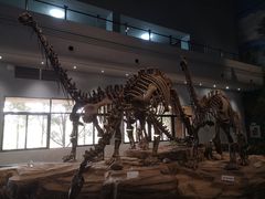 -自贡恐龙博物馆