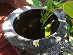 -库塔海滩