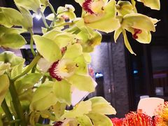 -豆豆花艺(新光天地店)
