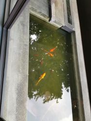 -保丽宝泰母婴护理院·月子中心·产康·中医(常州店)