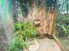 -上海大自然野生昆虫馆