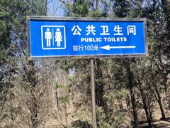 -塘沽森林公园