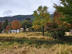-塔川景区