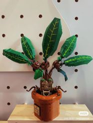 -乐高授权专卖店(中关村领展店)