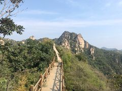 -大岭沟猕猴桃谷风景区
