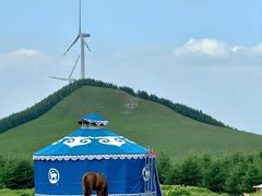 -红崖峡谷景区
