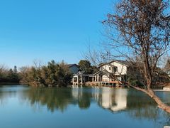 -新荣记(西溪湿地店)