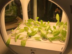 -鲜果时光(合生汇购物中心店)