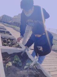 -小蜜蜂农场(凯德七宝购物广场店)
