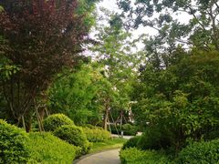 -莱阳濯村樱花园