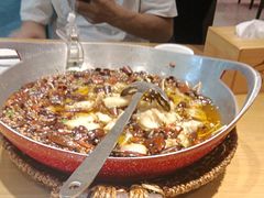 -天堂鸟水煮鱼·烟火川菜(凤凰路店)