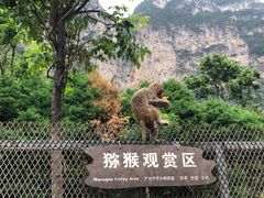 -云台山风景名胜区