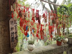 -南山植物园