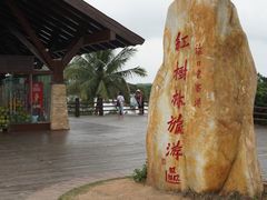 -东寨港红树林旅游区