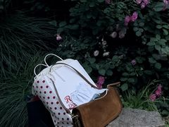 -西湖游船