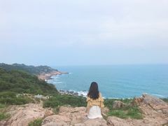 -广东惠东海龟国家级自然保护区